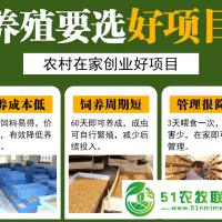 貴州源農(nóng)鑫蛋白蟲急招養(yǎng)殖戶技術(shù)指導(dǎo)包回收