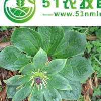 中藥材奇草薈重樓種植**求進