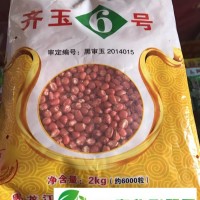 齊玉6號(hào)的產(chǎn)量表現(xiàn)與栽培要點(diǎn)_齊齊哈爾富裕縣當(dāng)?shù)赜衩追N子供應(yīng)