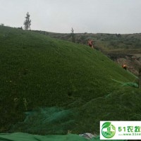 大量供應(yīng)礦山生態(tài)修復(fù)植被毯