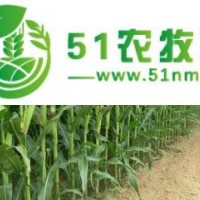 農(nóng)作物、果樹、綠化樹的種植與銷售