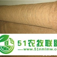 大量出售環(huán)美植被毯、物美**