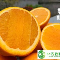辰頤物語*創(chuàng)業(yè)-辰頤物語*代理-辰頤物語賺錢