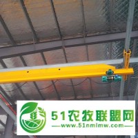 寶雞岐山縣歐式雙梁起重機(jī)，單雙梁起重機(jī)生產(chǎn)廠家