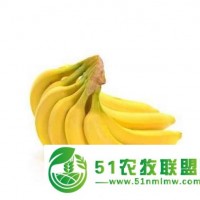 廣東越南香蕉供應(yīng)