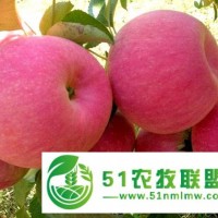 營(yíng)養(yǎng)自然甜，蘋(píng)果要添鮮