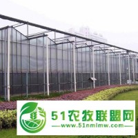 搭建溫室大棚應注意哪些問題精誠一聚，和合雙贏