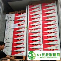 廣州江南水果交易市場(chǎng)**供應(yīng)一手貨源進(jìn)口水果葡萄柚南非西柚原箱30斤批發(fā)