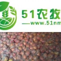 陜西紅富士蘋果價格陜西膜袋紅富士蘋果較新價格