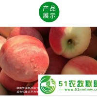 農場** 山東蜜桃 5斤凈果裝 現(xiàn)摘現(xiàn)發(fā) 40包郵到家