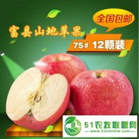 太蘋盛事紅遍中國陜西富縣蘋果批發(fā)供應采購新鮮水果價格優(yōu)惠
