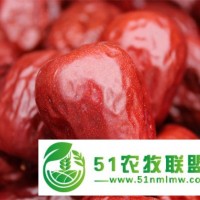 2020年新疆和田大棗批發(fā)價格
