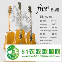 浙江單板尤克里里廠家，技術成員之一得到了一致**