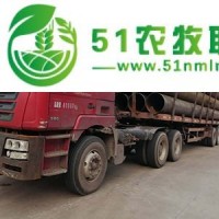 佛山到清遠(yuǎn)貨運(yùn)公司-騰富貨運(yùn)-名聲顯赫-*力**
