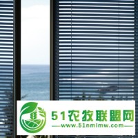 九江市都昌縣款式多樣蜂巢簾批發(fā)廠家，款式多來(lái)電了解哦