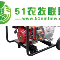 6寸電啟動小型水泵，抗旱*汽油水泵HS60X