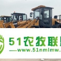 30/50抓木機(jī) 50側(cè)翻鏟車 柳工50裝載機(jī)中秋特價(jià)