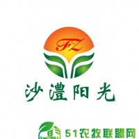 青年雞得了滑液囊支原體用什么藥緩解