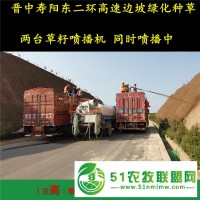 煙臺(tái)邊坡種草泥土噴播機(jī)出租供應(yīng)