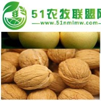 供天水梨子采摘和甘肅核桃批發(fā)羲皇緣價(jià)格