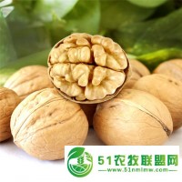 拼多多社區(qū)團(tuán)購新疆核桃廠家批發(fā)批發(fā)價(jià)格