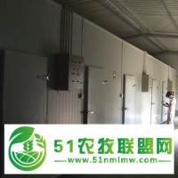 核桃、花生、堅果冷庫設計建造