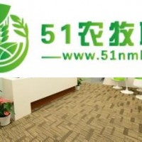 一個柜越南的腰果進口在上海港清關(guān)的費用