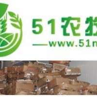 供應(yīng)江蘇冷庫(kù)銷售 500立方冷庫(kù)價(jià)格 板栗冷庫(kù)