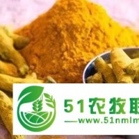 姜黃4