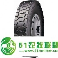 雙錢輪胎10R22.5