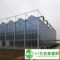 陽(yáng)光板溫室大棚 大棚造價(jià) 溫室建設(shè) 廠(chǎng)家** 金德鑫溫室