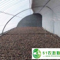 耐爾雙膜 通化市雙膜大棚
