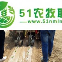 廠家**田耐爾油菜移栽機(jī)，價(jià)錢便宜，質(zhì)量好