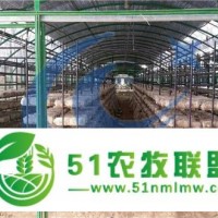 食用菌網(wǎng)架批發(fā)-食用菌架廠家-蘑菇網(wǎng)架價格