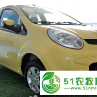 長安 奔奔mini 電動代步車 電動汽車 電動觀光車