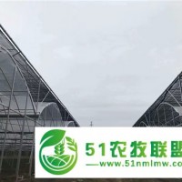 火龍果大棚安裝-火龍果大棚-科農溫室承載力強(查看)