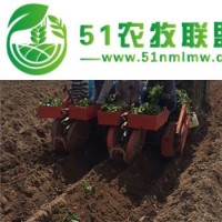 樂陵天馬2zq系列蔬菜多功能移栽機價格與圖片