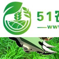 新明悅機(jī)械較新研發(fā)的韭菜收割機(jī) 廠家** 誠(chéng)招各地經(jīng)銷商