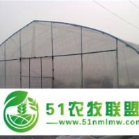 廠家**！批發(fā)價！質(zhì)量優(yōu)！單體大棚、拱形大棚、蔬菜大棚、農(nóng)用大棚、春秋大棚