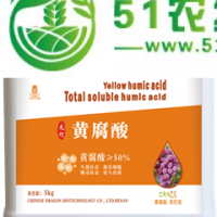 龍燈生物黃腐酸在蔬菜上的應(yīng)用---提高肥效、生根、抗凍