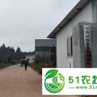 云南成翔農(nóng)業(yè)公司有機(jī)肥生產(chǎn)廠家