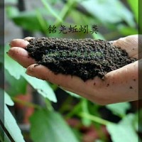 廣東有機(jī)土蚯蚓糞怎么賣找156377南陽皓暢83721