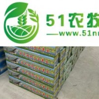 查干湖魚(yú)經(jīng)銷(xiāo)公司 長(zhǎng)春賣(mài)查干湖**魚(yú)價(jià)格+長(zhǎng)春賣(mài)查干湖**魚(yú)價(jià)格