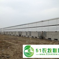 畜牧場卷簾布養(yǎng)殖場耐高溫圈舍豬場定制保溫簾支持定做