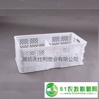 廠家批發(fā)種蛋周轉(zhuǎn)筐 塑料蛋筐批發(fā)廠家 塑料運(yùn)輸?shù)翱饍r格