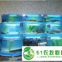 養(yǎng)殖魚池怎么做，石斑魚魚池定做，海水魚要制冷嗎，海水玻璃魚池怎么制冷