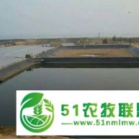 銷售許昌鄭州耐酸堿腐蝕排污池厚塑料膜，廠家,價格,焊接