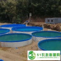 大型戶外養(yǎng)殖基地帆布魚池-鼎盛帆布