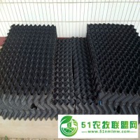 鱔魚養(yǎng)殖巢A鱔魚養(yǎng)殖新產(chǎn)品新技術(shù)