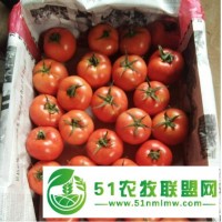 五豐養(yǎng)殖